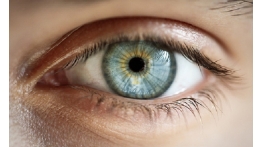 راهنمای پیشگیری از اختلال بینایی و حفظ سلامت چشم با طب ایرانی
